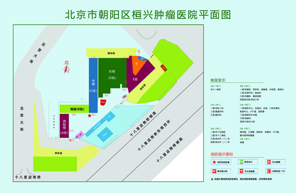 啪啪啪操屄视频网站北京市朝阳区桓兴肿瘤医院平面图